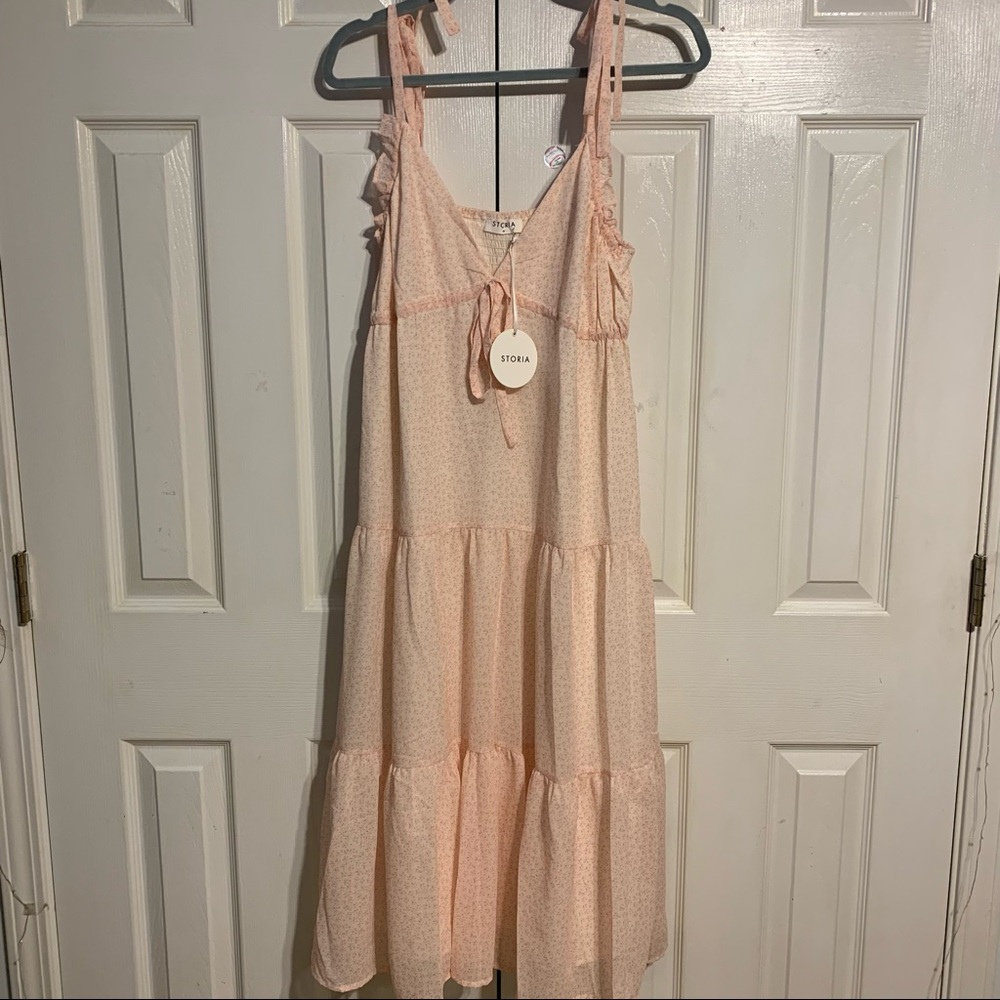 NWT Pink Cottagecore Dress💕